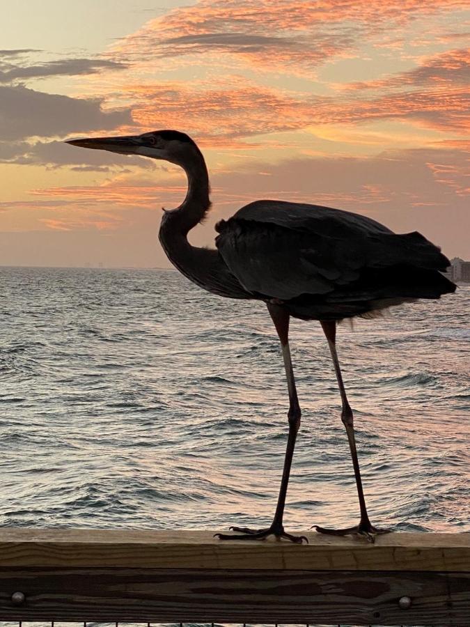 Beautiful! Sunset Harbor Condo For 2-Top Floor 1-309, Navarre Beach Εξωτερικό φωτογραφία